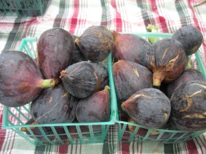 Mission figs