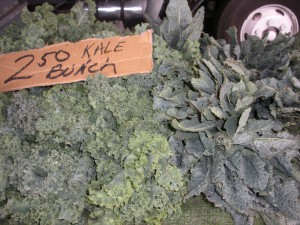 curly kale and dinosaur kale