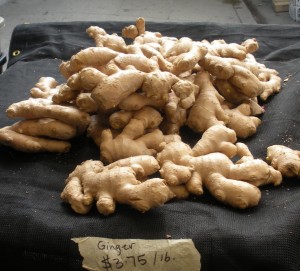 ginger