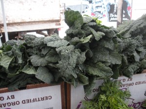 Kale #1 Kale #1