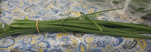 chives